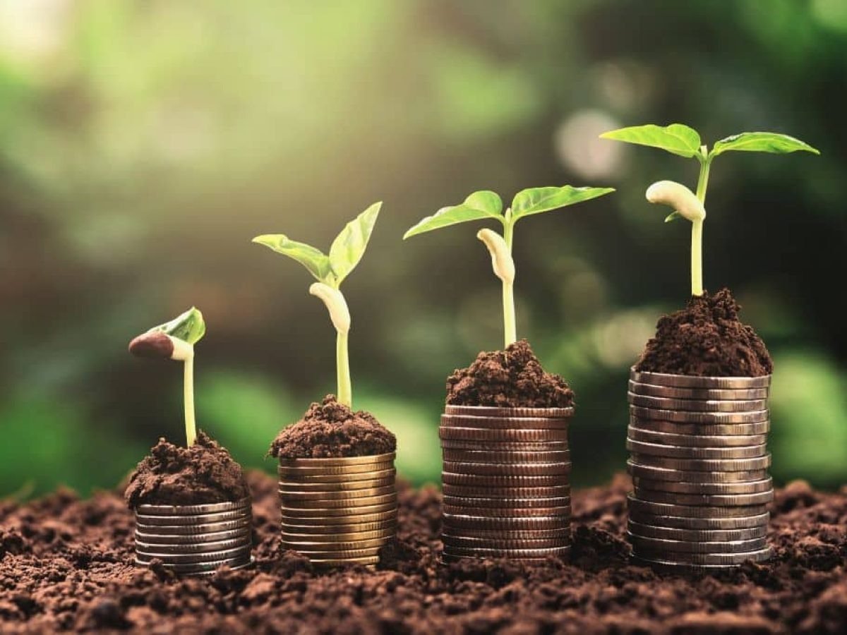 Corporate Finance 3 Financial Planning and Strategy